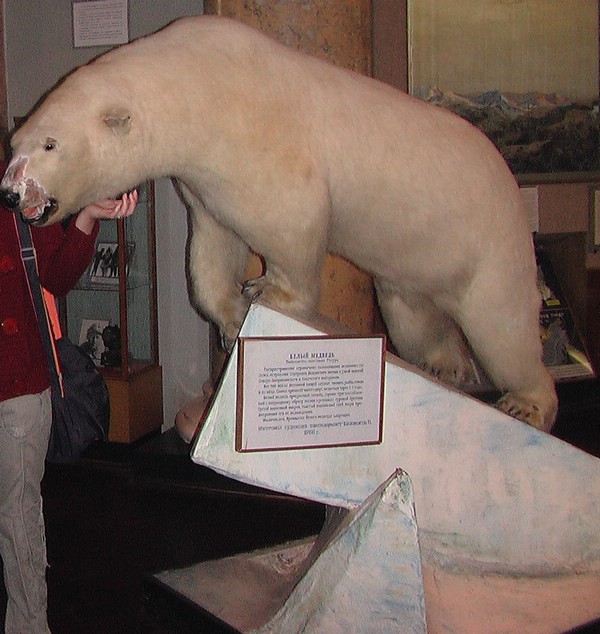 Российский государственный музей Арктики и Антарктики в Санкт-Петербурге