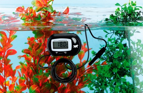 термометр для аквариума