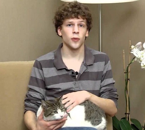 Джесси Айзенберг с кошкой